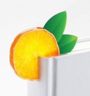Semn de carte într-un design vesel Fruitmark Orange