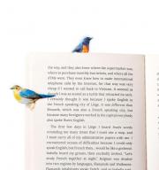Semn de carte autoadeziv reutilizabil Stikki Marks Winter Birds
